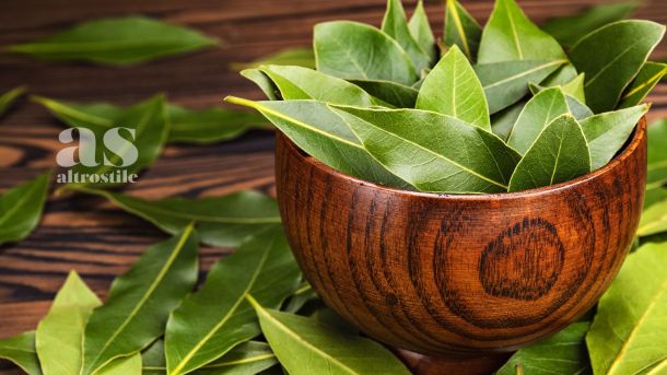 AS • Salute e Benessere foglia di alloro