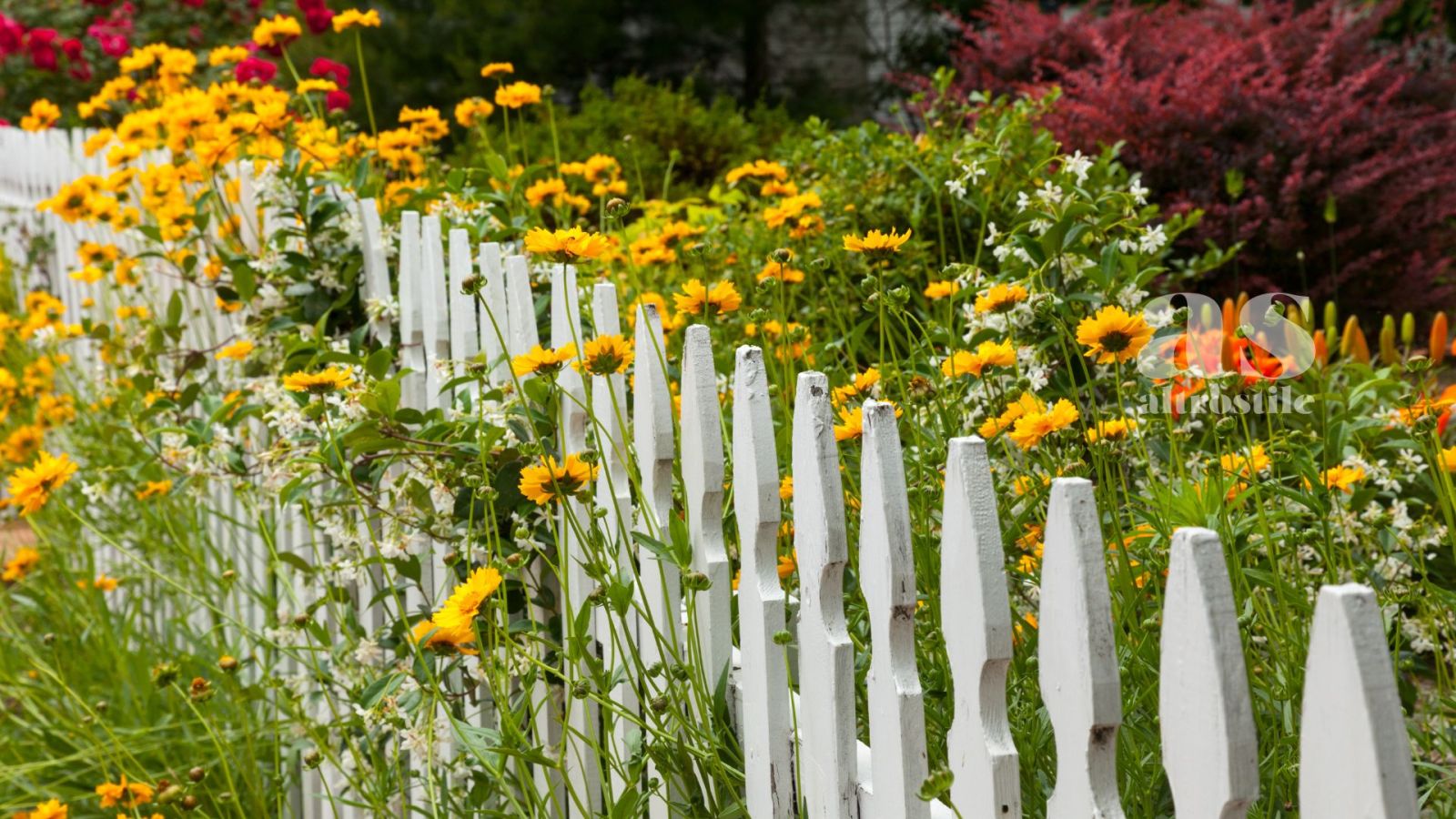 AS &bull; Wild Gardening: il ritorno del selvatico nei nostri spazi domestici