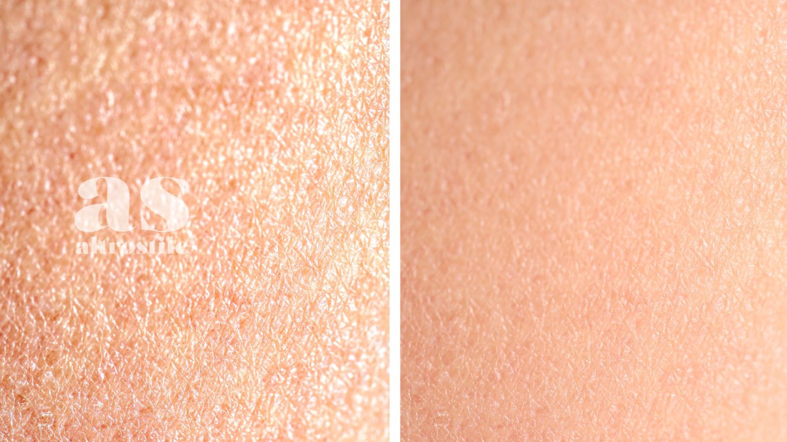 AS • Pelle e Salute: la guida per leggere, riparare e rigenerare la pelle AS • Pelle e Salute: la guida per leggere, riparare e rigenerare la pelle