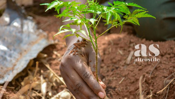 AS • Ecologia, Donne e Resilienza: i 35 anni della Fondazione Yves Rocher e la sfida verde in Italia AS • Ecologia, Donne e Resilienza: i 35 anni della Fondazione Yves Rocher e la sfida verde in Italia