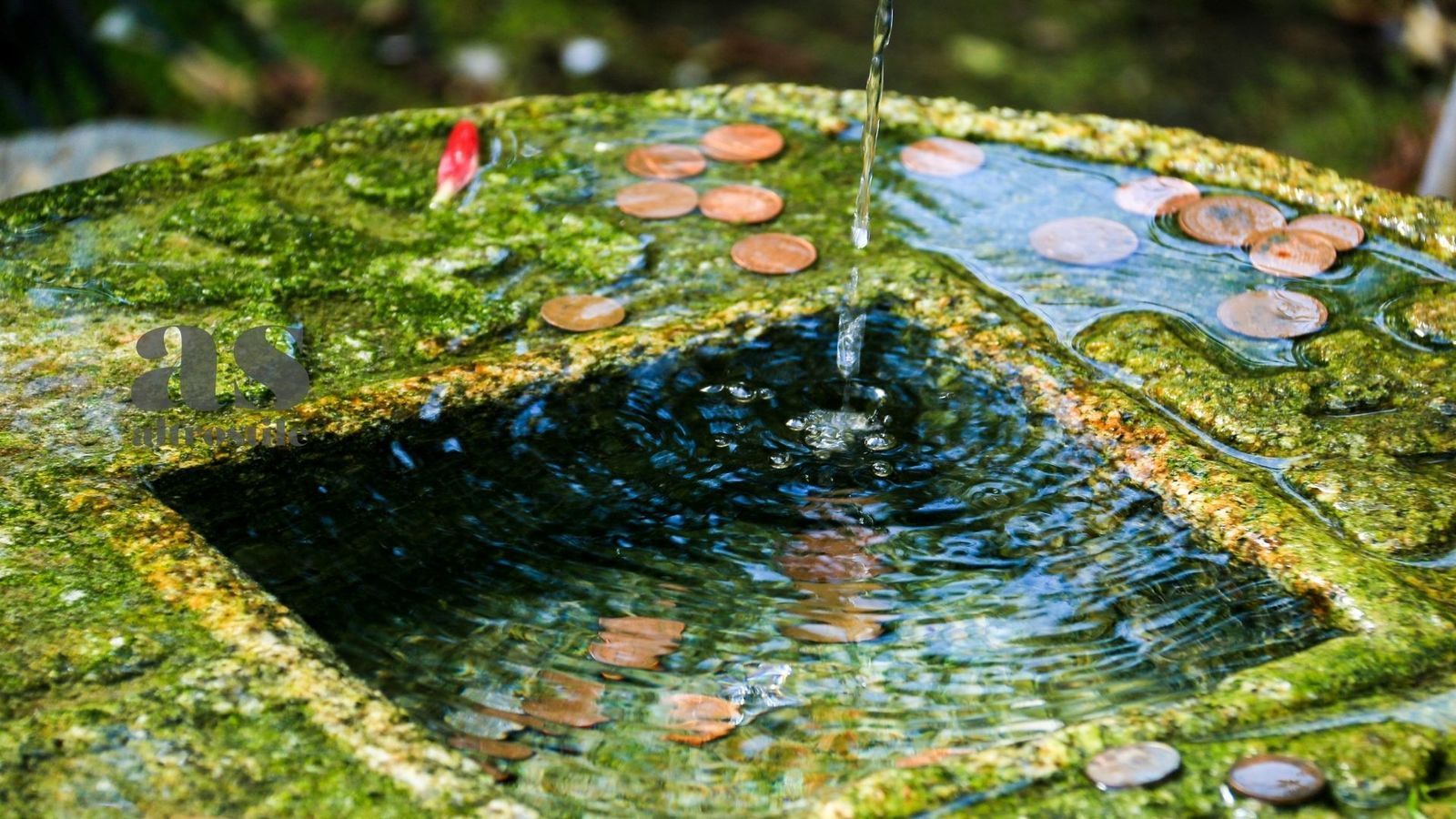 AS • Abbondanza in casa grazie al Feng Shui AS • Abbondanza in casa grazie al Feng Shui