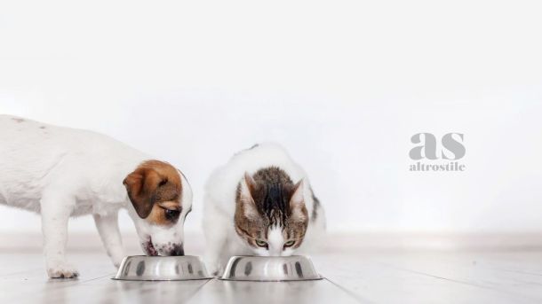 AS • Animali Cibo Per Cani E Gatti AltroStile Salute E Benessere