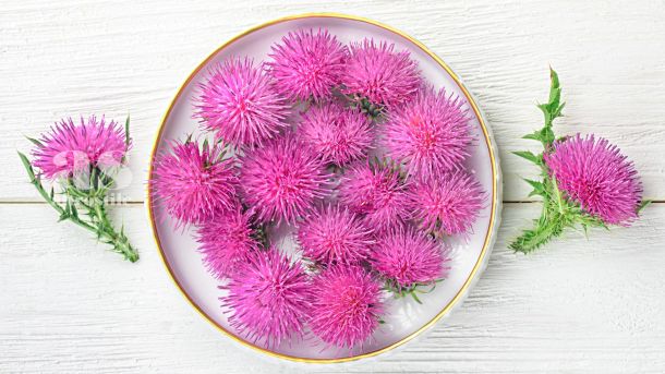 AS • Salute e Benessere AS • Salute e Benessere