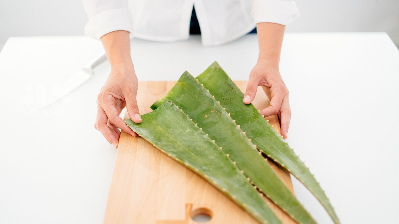 AS &bull; Aloe: lenitiva e rigenerante, per benessere e bellezza