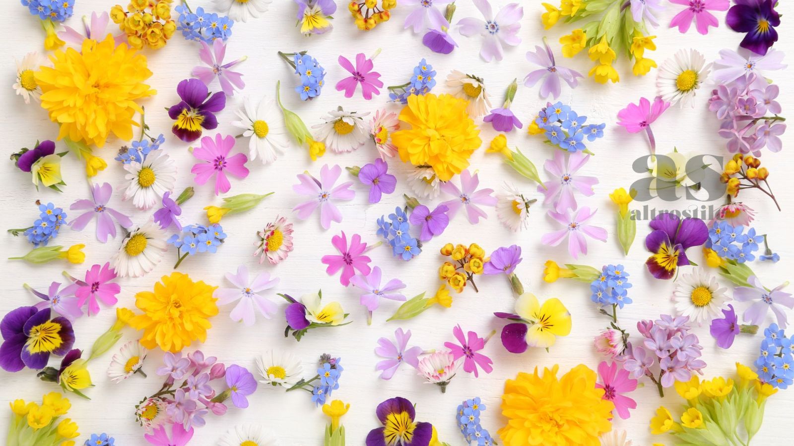 AS • 6 oli essenziali per il benessere a primavera AS • 6 oli essenziali per il benessere a primavera